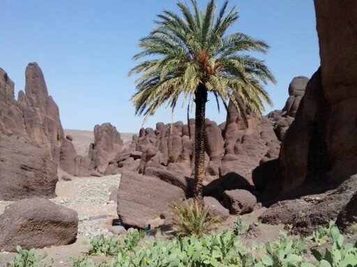 Desert Tours Morocco; 4 days from Agadir to Erg Chegaga