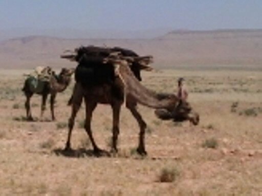 Morocco Desert Trip 2023; 4 Days from Ouarzazte to Erg Chabbi