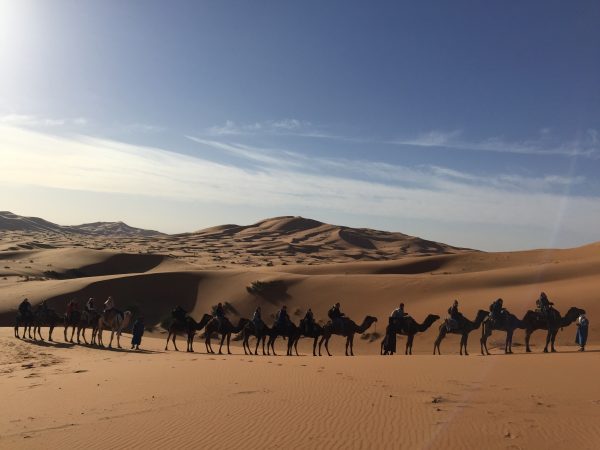Migliori Tour Operator Marocco