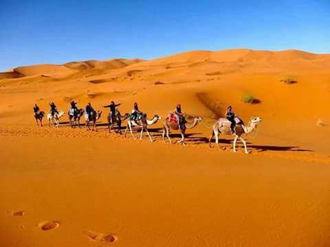 Morocco vacation : Best 12 days from Casablanca 2023/2024