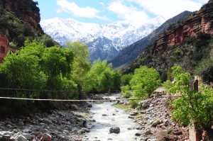 BEST OURIKA VALLEY DAY TRIP FROM MARRAKECH  2024