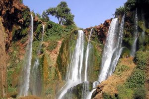 Best Ouzoud Waterfall day trip From Marrakech 2024